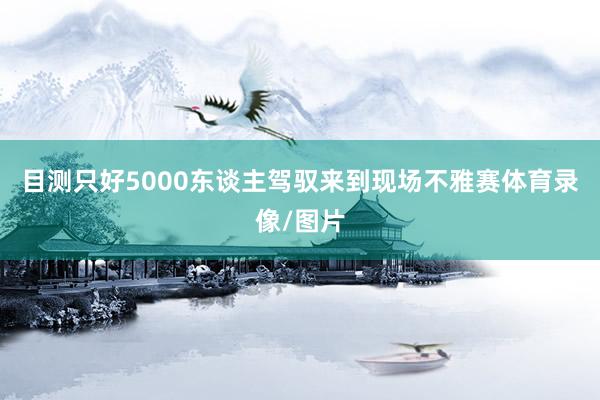 目测只好5000东谈主驾驭来到现场不雅赛体育录像/图片